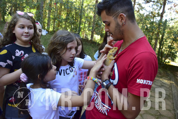 Buy your photos of the eventNR1 - Cl�ssico 27 a 30/06/19 on Fotop