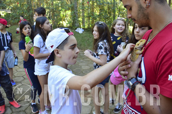 Buy your photos of the eventNR1 - Cl�ssico 27 a 30/06/19 on Fotop