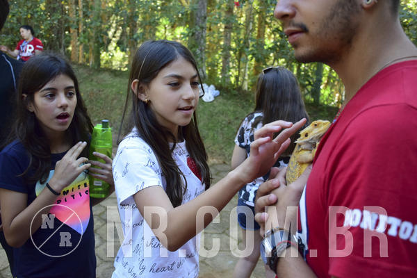 Buy your photos of the eventNR1 - Cl�ssico 27 a 30/06/19 on Fotop