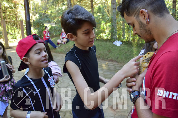 Buy your photos of the eventNR1 - Cl�ssico 27 a 30/06/19 on Fotop