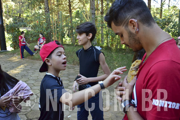 Buy your photos of the eventNR1 - Cl�ssico 27 a 30/06/19 on Fotop