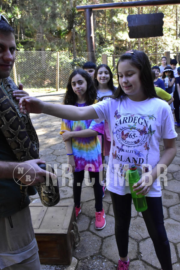 Buy your photos of the eventNR1 - Cl�ssico 27 a 30/06/19 on Fotop