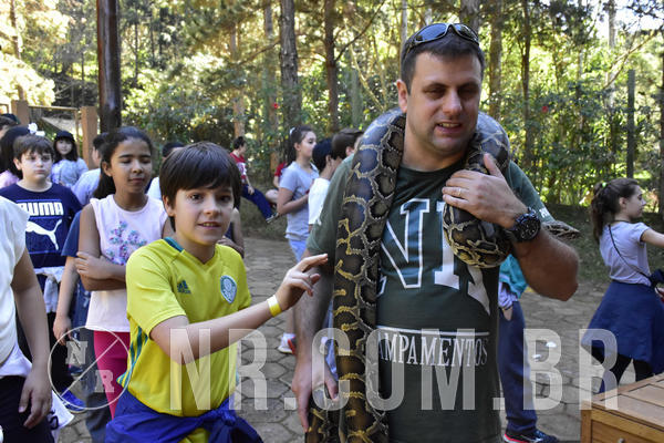 Buy your photos of the eventNR1 - Cl�ssico 27 a 30/06/19 on Fotop