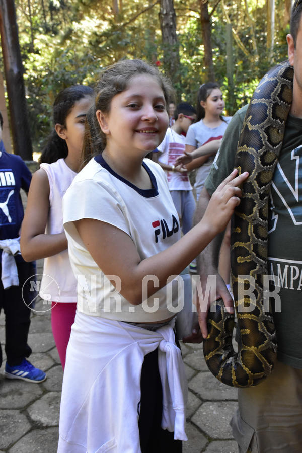 Buy your photos of the eventNR1 - Cl�ssico 27 a 30/06/19 on Fotop