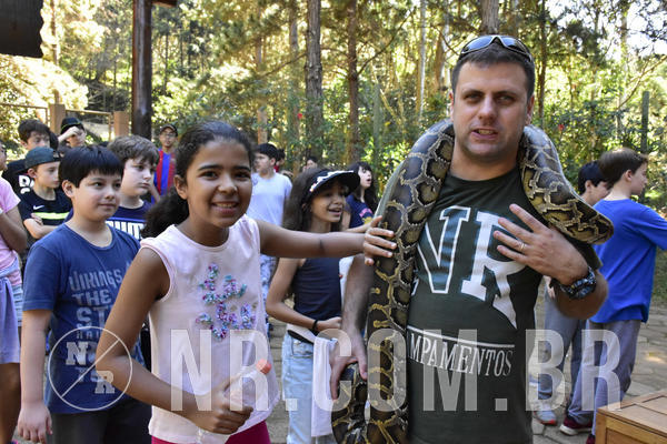 Buy your photos of the eventNR1 - Cl�ssico 27 a 30/06/19 on Fotop