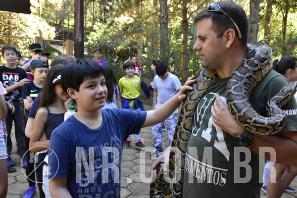 Buy your photos of the eventNR1 - Cl�ssico 27 a 30/06/19 on Fotop