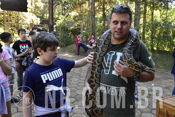 Buy your photos of the eventNR1 - Cl�ssico 27 a 30/06/19 on Fotop