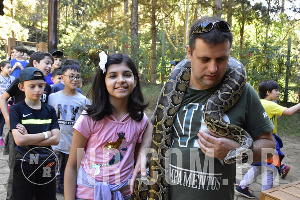 Buy your photos of the eventNR1 - Cl�ssico 27 a 30/06/19 on Fotop