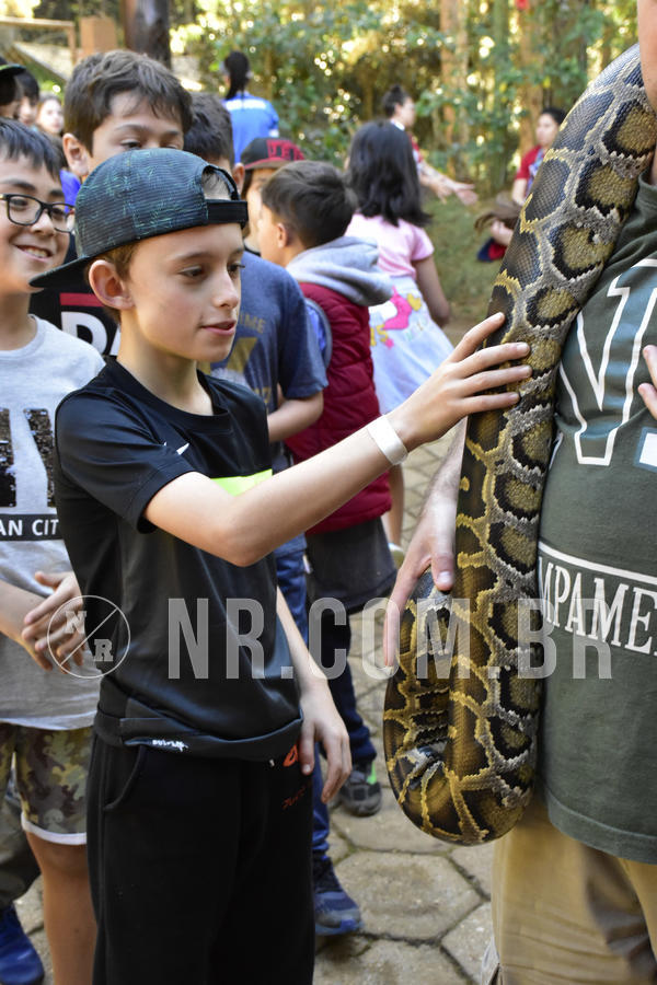 Buy your photos of the eventNR1 - Cl�ssico 27 a 30/06/19 on Fotop