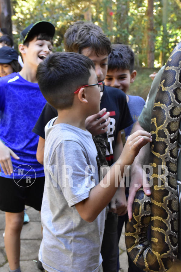 Buy your photos of the eventNR1 - Cl�ssico 27 a 30/06/19 on Fotop