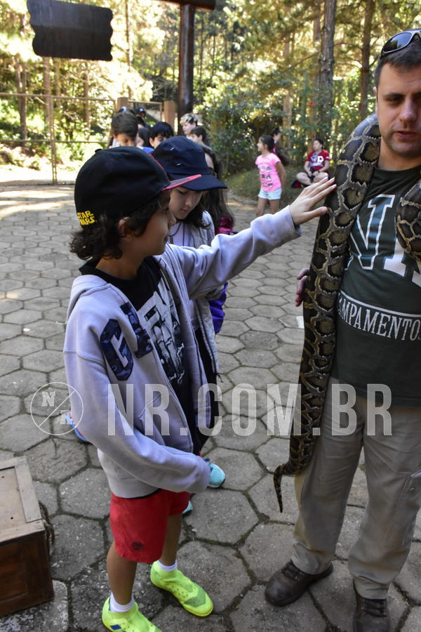 Buy your photos of the eventNR1 - Cl�ssico 27 a 30/06/19 on Fotop