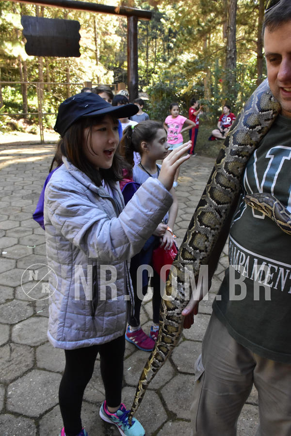 Buy your photos of the eventNR1 - Cl�ssico 27 a 30/06/19 on Fotop