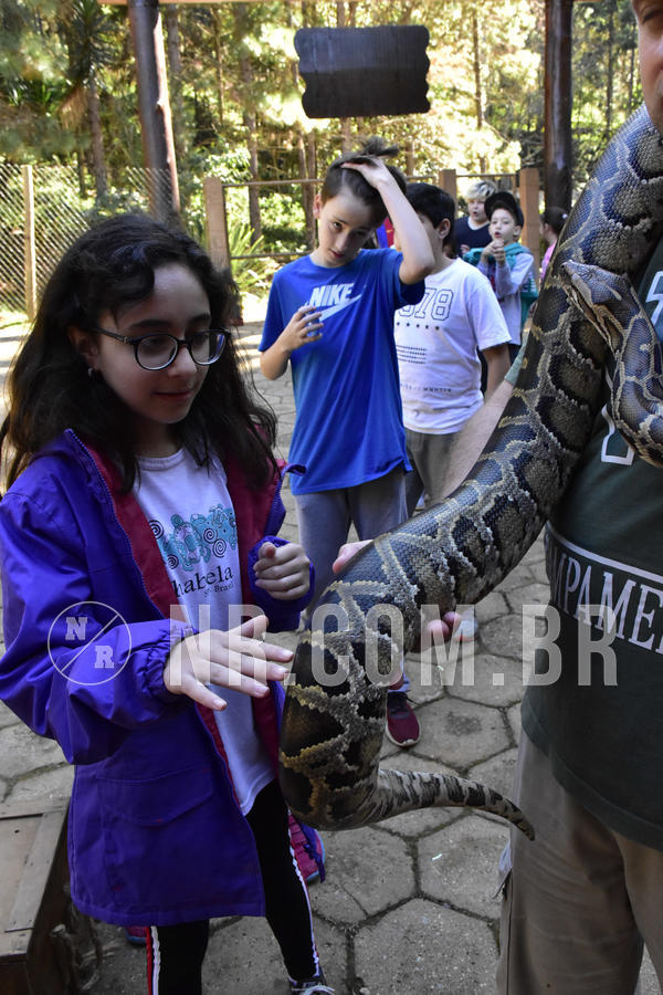 Buy your photos of the eventNR1 - Cl�ssico 27 a 30/06/19 on Fotop