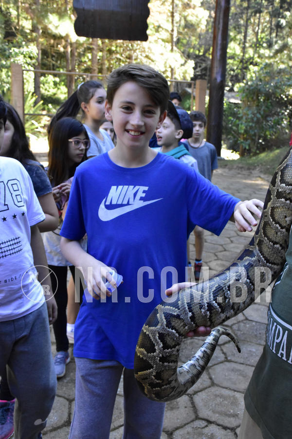 Buy your photos of the eventNR1 - Cl�ssico 27 a 30/06/19 on Fotop