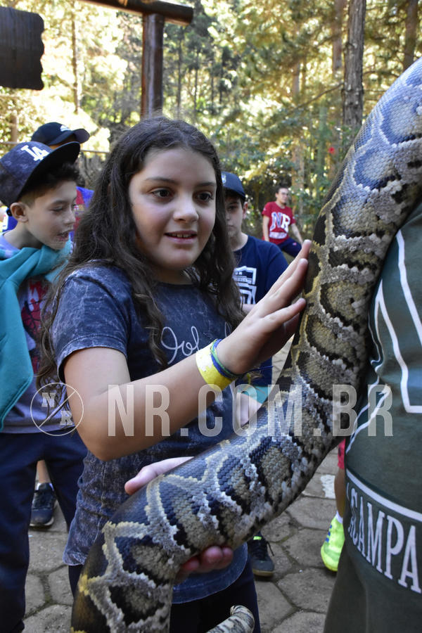 Buy your photos of the eventNR1 - Cl�ssico 27 a 30/06/19 on Fotop