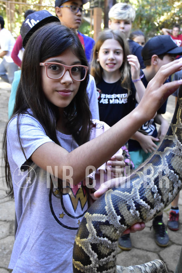 Buy your photos of the eventNR1 - Cl�ssico 27 a 30/06/19 on Fotop