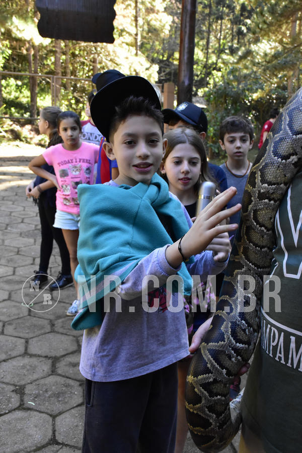 Buy your photos of the eventNR1 - Cl�ssico 27 a 30/06/19 on Fotop