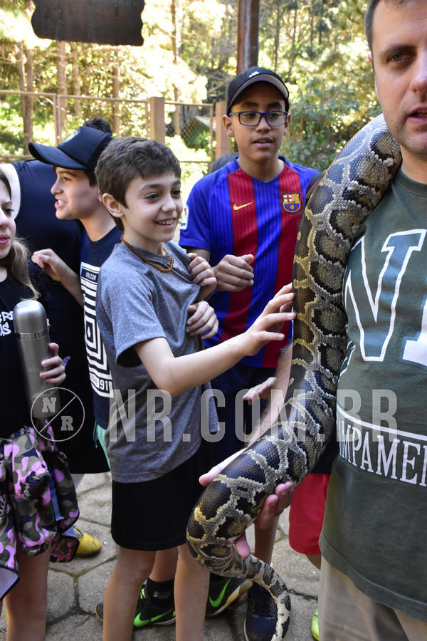 Buy your photos of the eventNR1 - Cl�ssico 27 a 30/06/19 on Fotop