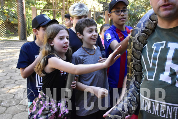 Buy your photos of the eventNR1 - Cl�ssico 27 a 30/06/19 on Fotop