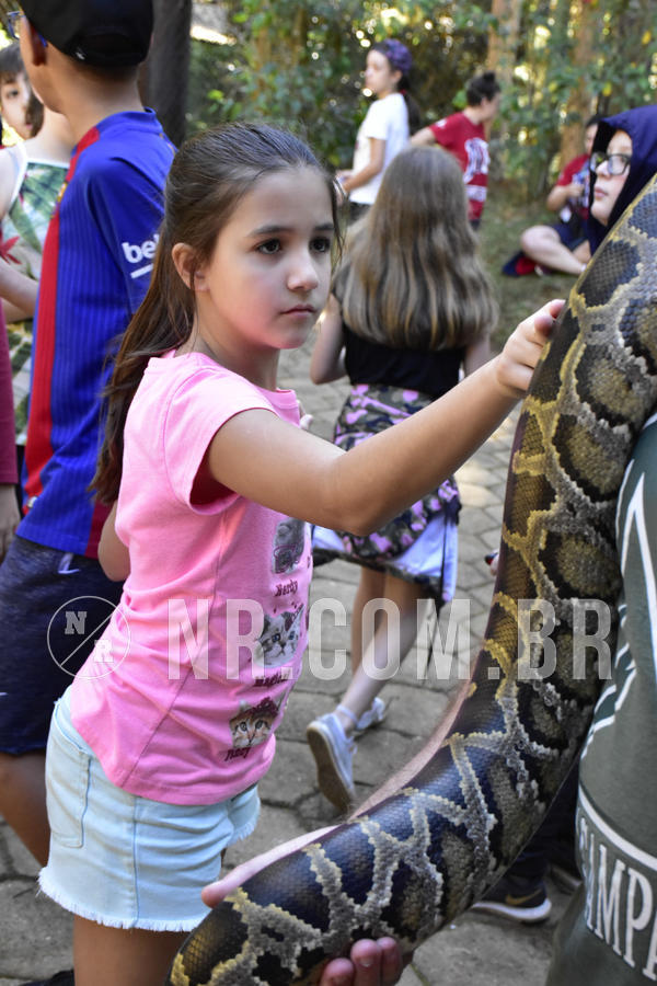 Buy your photos of the eventNR1 - Cl�ssico 27 a 30/06/19 on Fotop