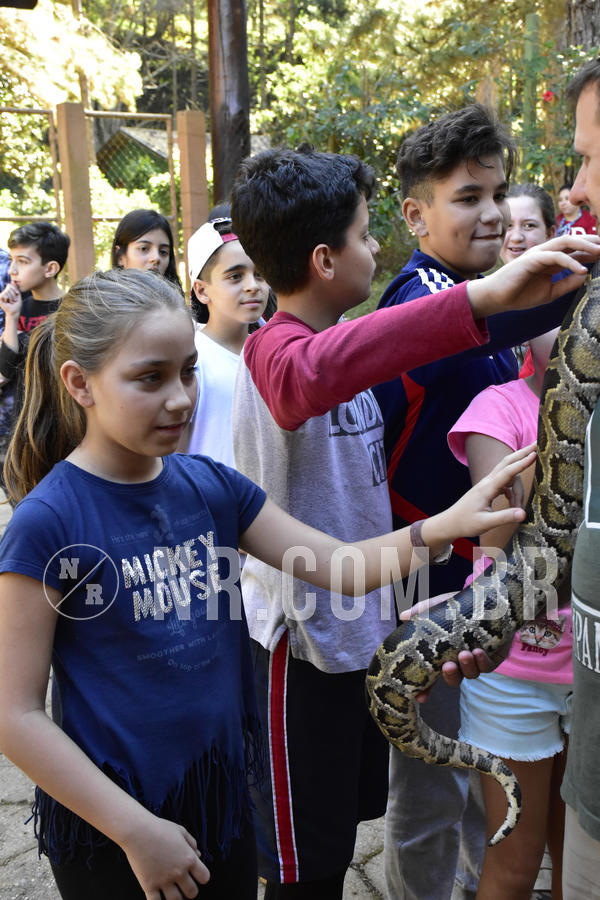 Buy your photos of the eventNR1 - Cl�ssico 27 a 30/06/19 on Fotop