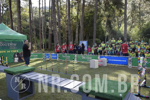 Buy your photos of the eventNR 1 - Cl�ssico  30 A 03/07/19 on Fotop