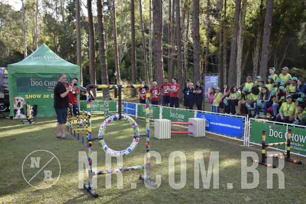 Buy your photos of the eventNR 1 - Cl�ssico  30 A 03/07/19 on Fotop