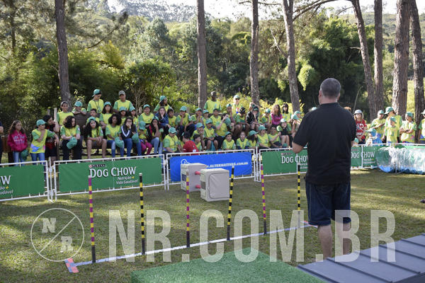 Buy your photos of the eventNR 1 - Cl�ssico  30 A 03/07/19 on Fotop