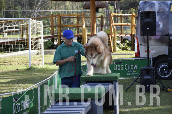 Buy your photos of the eventNR 1 - Cl�ssico  30 A 03/07/19 on Fotop