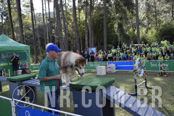 Buy your photos of the eventNR 1 - Cl�ssico  30 A 03/07/19 on Fotop