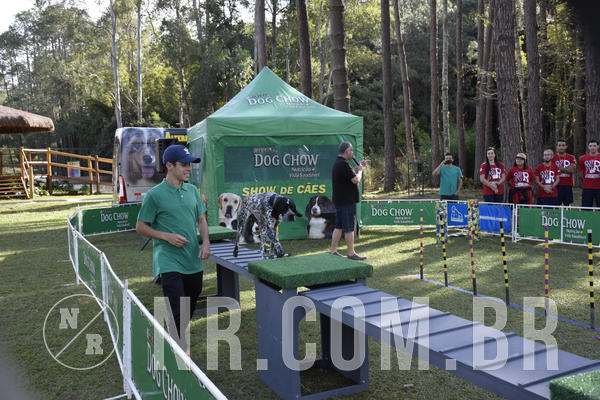 Buy your photos of the eventNR 1 - Cl�ssico  30 A 03/07/19 on Fotop