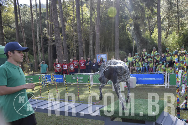 Buy your photos of the eventNR 1 - Cl�ssico  30 A 03/07/19 on Fotop