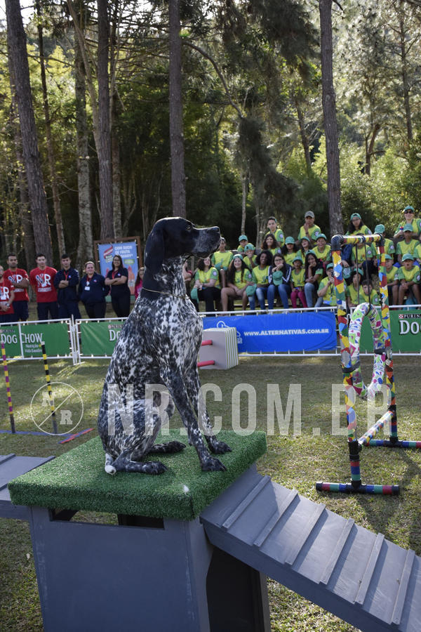 Buy your photos of the eventNR 1 - Cl�ssico  30 A 03/07/19 on Fotop