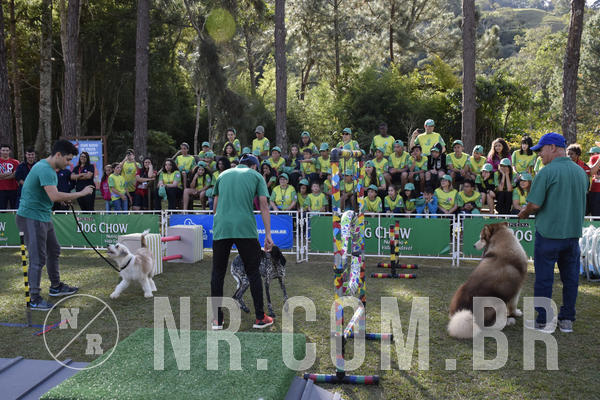 Buy your photos of the eventNR 1 - Cl�ssico  30 A 03/07/19 on Fotop