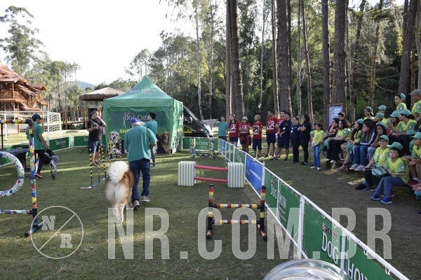 Buy your photos of the eventNR 1 - Cl�ssico  30 A 03/07/19 on Fotop