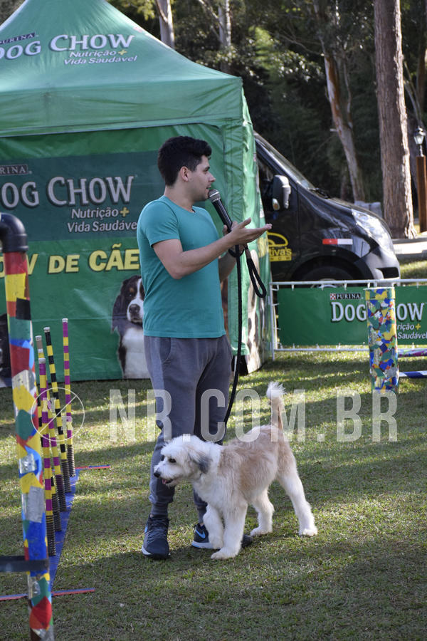 Buy your photos of the eventNR 1 - Cl�ssico  30 A 03/07/19 on Fotop