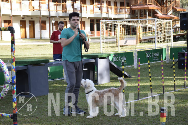 Buy your photos of the eventNR 1 - Cl�ssico  30 A 03/07/19 on Fotop