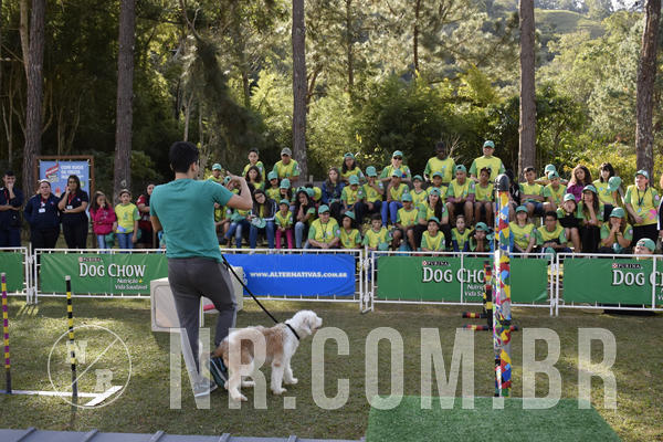 Buy your photos of the eventNR 1 - Cl�ssico  30 A 03/07/19 on Fotop