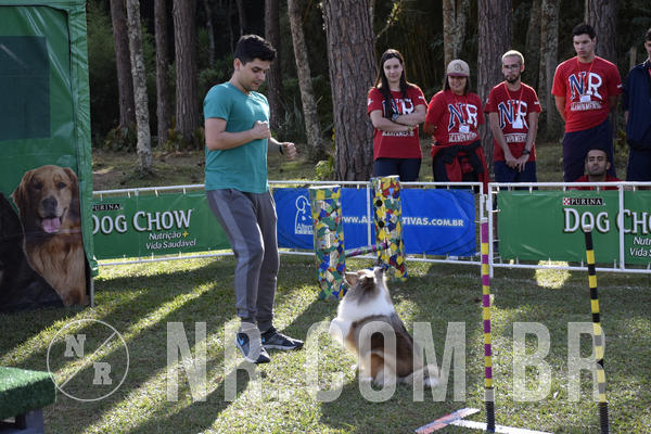 Buy your photos of the eventNR 1 - Cl�ssico  30 A 03/07/19 on Fotop