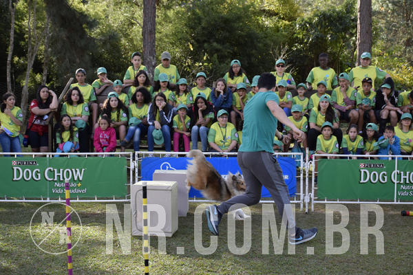 Buy your photos of the eventNR 1 - Cl�ssico  30 A 03/07/19 on Fotop