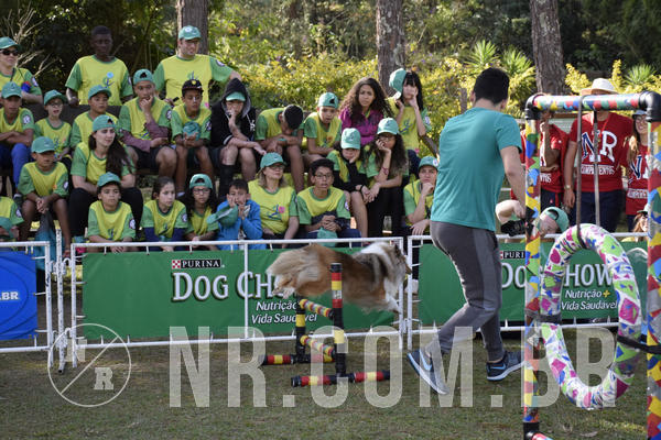 Buy your photos of the eventNR 1 - Cl�ssico  30 A 03/07/19 on Fotop