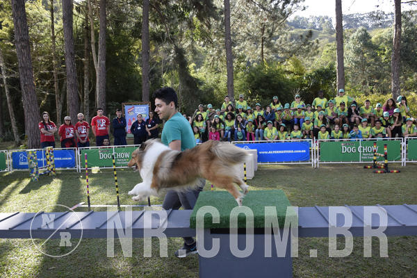 Buy your photos of the eventNR 1 - Cl�ssico  30 A 03/07/19 on Fotop