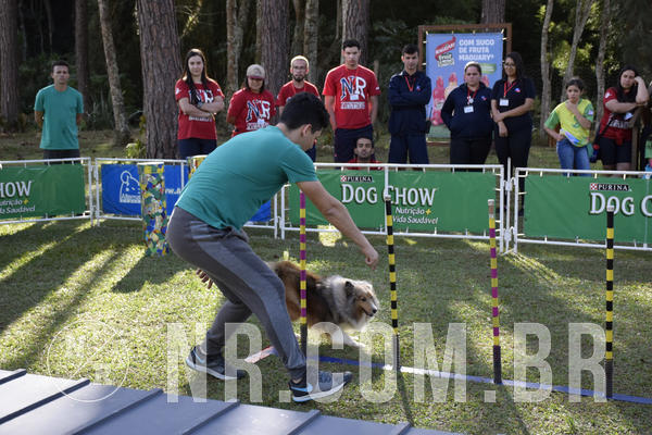 Buy your photos of the eventNR 1 - Cl�ssico  30 A 03/07/19 on Fotop