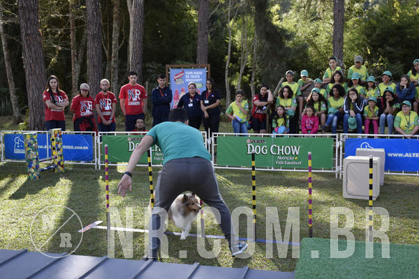 Buy your photos of the eventNR 1 - Cl�ssico  30 A 03/07/19 on Fotop