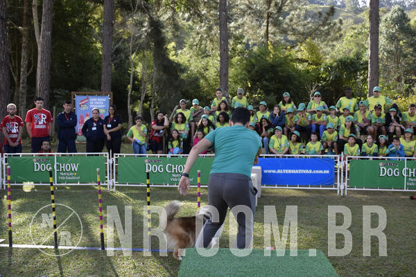 Buy your photos of the eventNR 1 - Cl�ssico  30 A 03/07/19 on Fotop