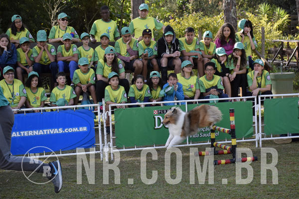 Buy your photos of the eventNR 1 - Cl�ssico  30 A 03/07/19 on Fotop