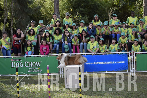 Buy your photos of the eventNR 1 - Cl�ssico  30 A 03/07/19 on Fotop