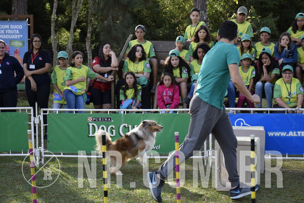 Buy your photos of the eventNR 1 - Cl�ssico  30 A 03/07/19 on Fotop