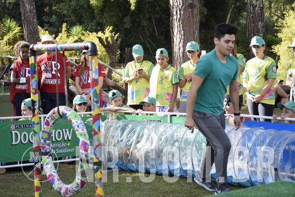 Buy your photos of the eventNR 1 - Cl�ssico  30 A 03/07/19 on Fotop