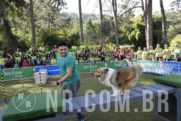 Buy your photos of the eventNR 1 - Cl�ssico  30 A 03/07/19 on Fotop